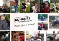 wszytskie_konkurs.jpg