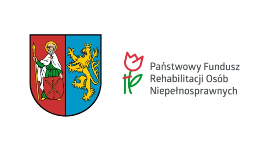 Modernizacja ŚDS